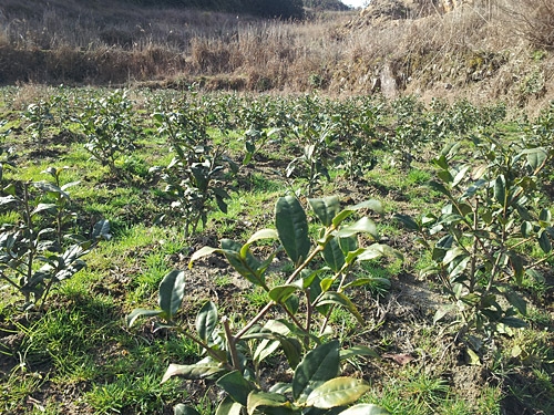 20130303_154846.jpg