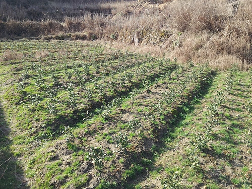 20130303_154903.jpg