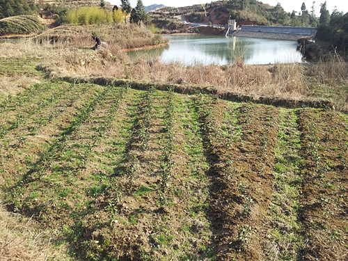 20130303_155349.jpg