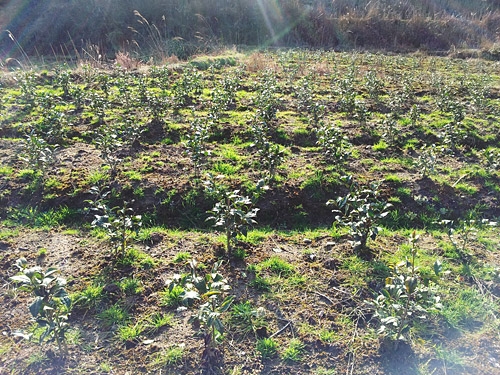 20130303_155503.jpg