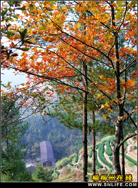 廊桥、旗山