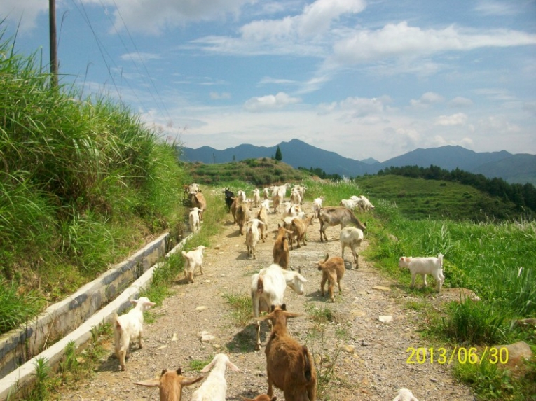 psbCA8NH17Y.jpg