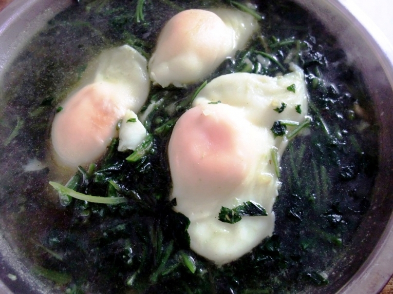 照片 438674.jpg