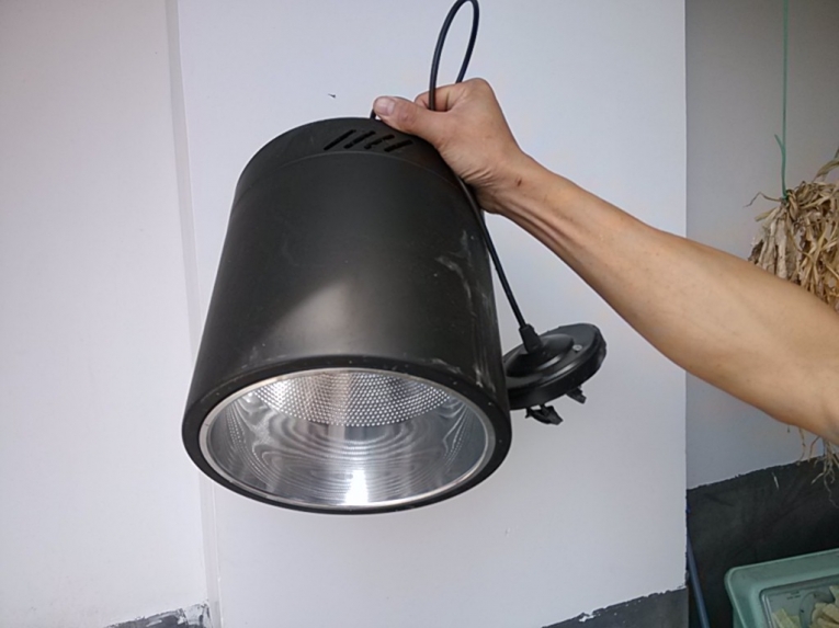 IMG_20130805_110556.jpg