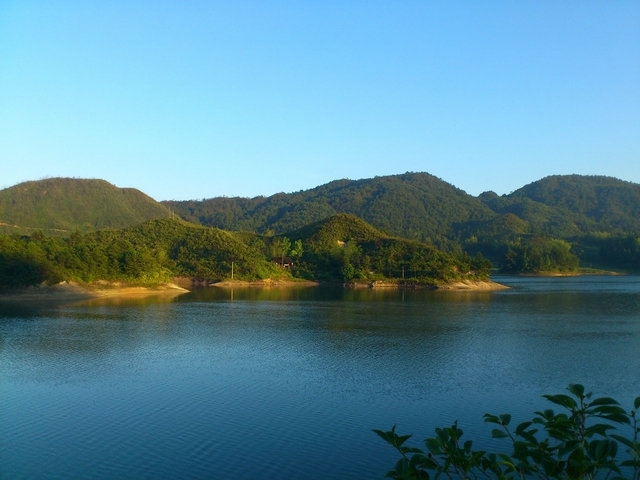 DSC_0807.jpg