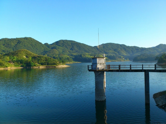 DSC_0916.jpg