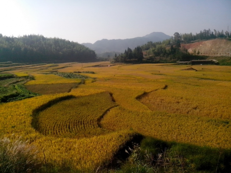 IMG_20131003_082731_调整大小.jpg