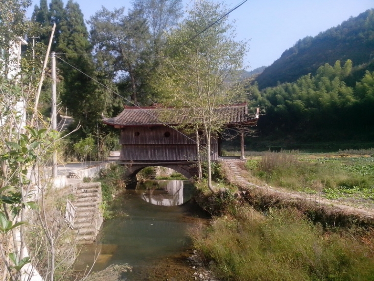 IMG_20131003_085422_调整大小.jpg