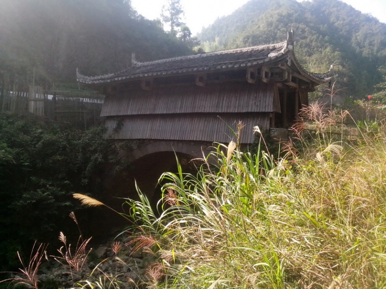IMG_20131003_090259_调整大小.jpg
