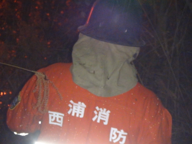 DSC01362.JPG