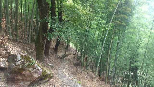 DSC_0226_副本.jpg
