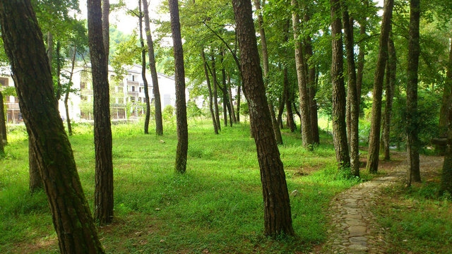 DSC_0496_副本.jpg