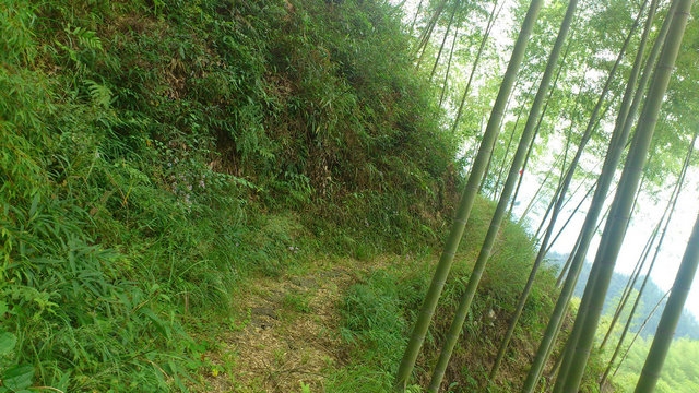 DSC_0294_副本.jpg