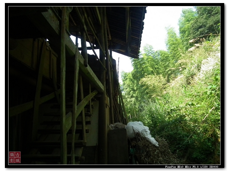 DSCF9206.jpg