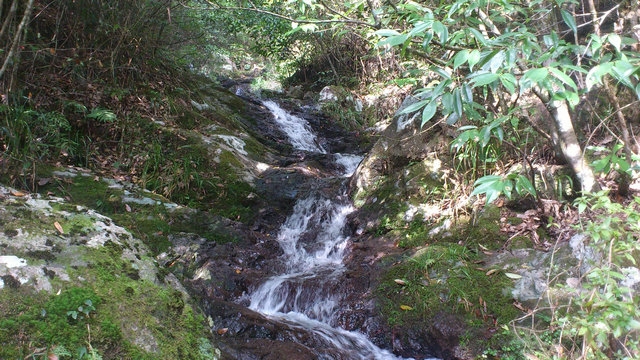 DSC_0784_副本.jpg