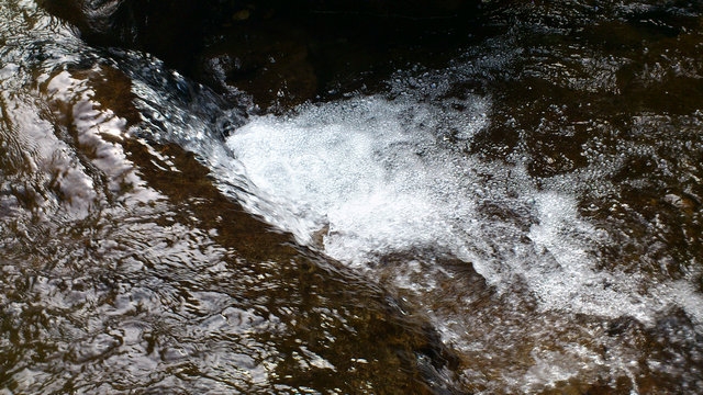DSC_0869_副本.jpg