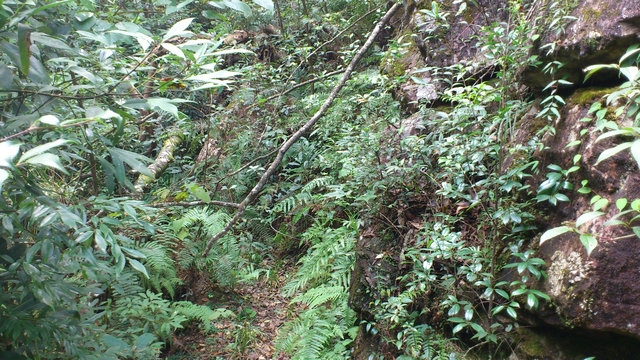 DSC_0809_副本.jpg