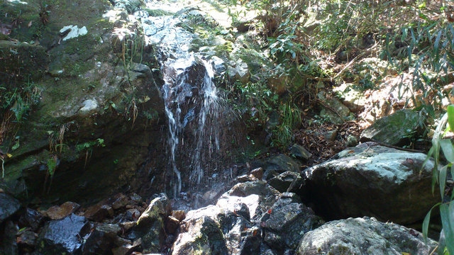 DSC_0987_副本.jpg