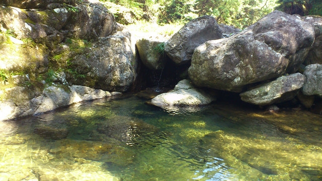 DSC_1004_副本.jpg