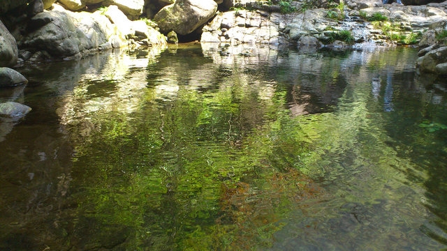 DSC_0938_副本.jpg