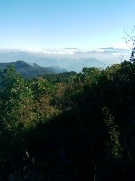 1380844143420.jpg