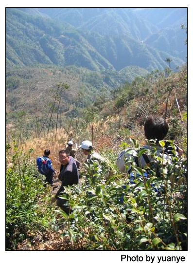 征服“小华山”(驴行图片记录)