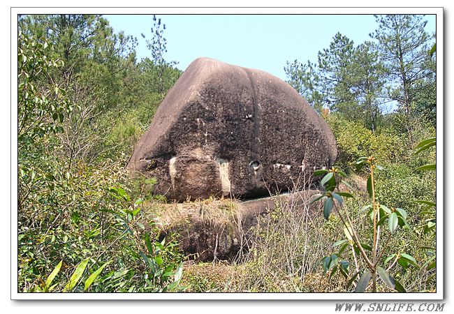 南山新趣