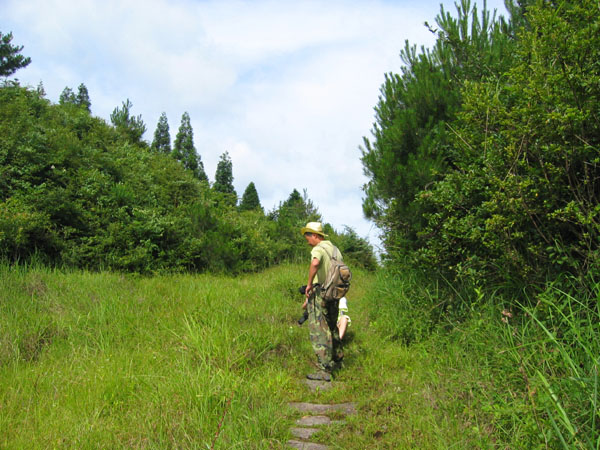 盛夏透风尖之行