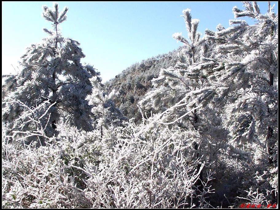 新年寿宁的第一场雪