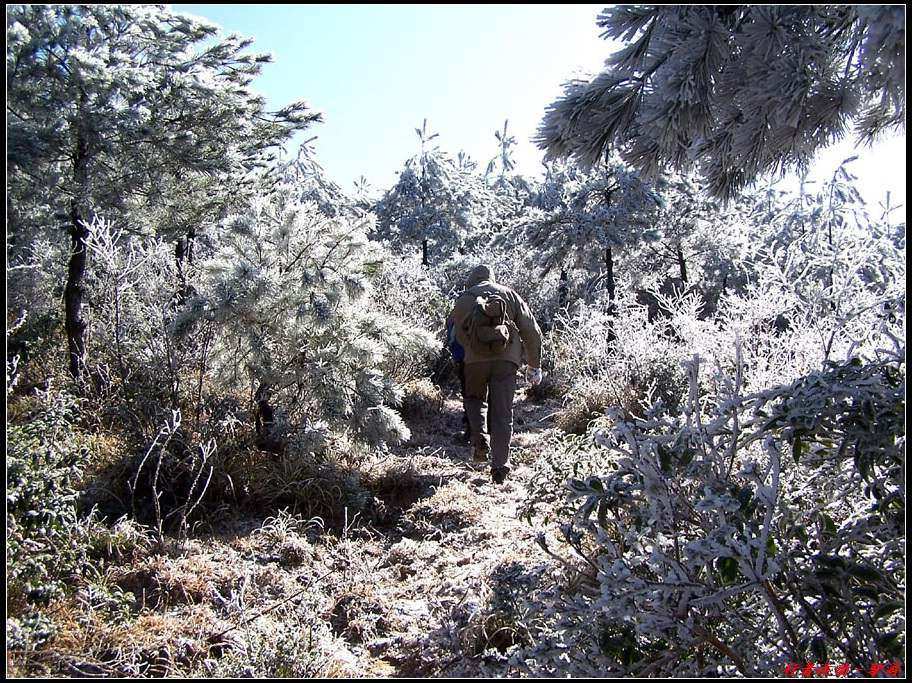 新年寿宁的第一场雪