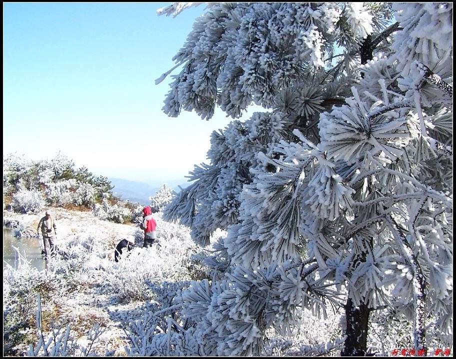 新年寿宁的第一场雪