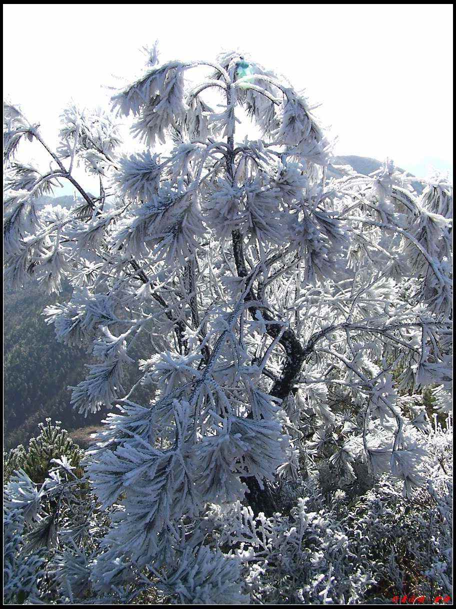 新年寿宁的第一场雪