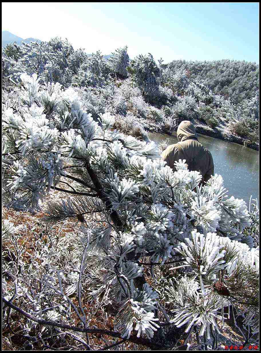 新年寿宁的第一场雪