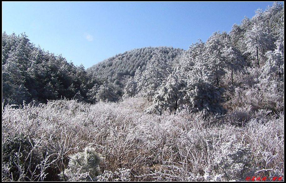 新年寿宁的第一场雪