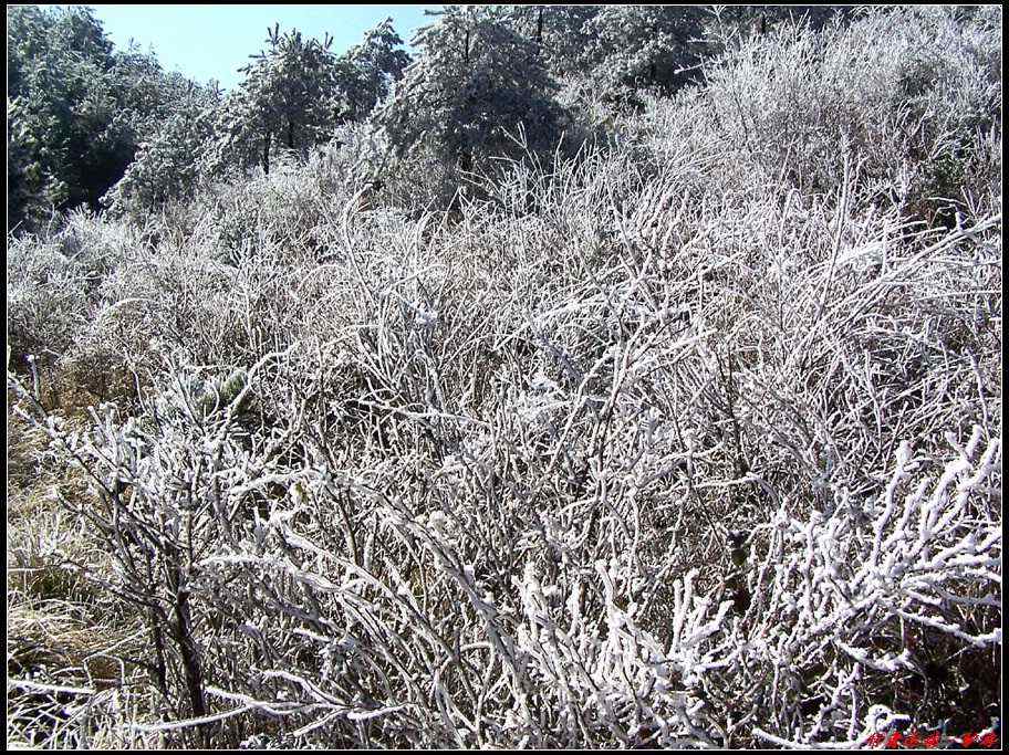 新年寿宁的第一场雪