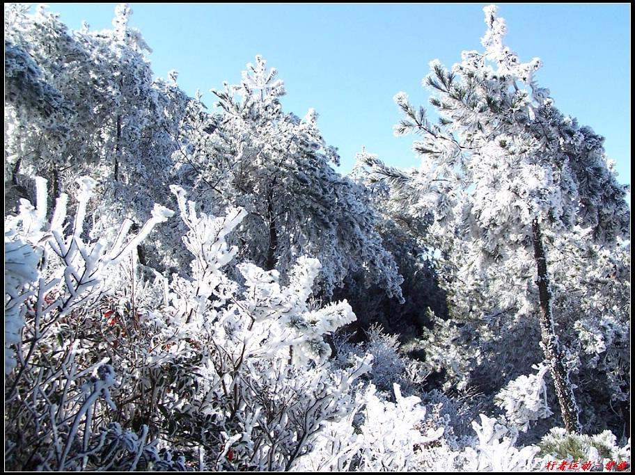 新年寿宁的第一场雪