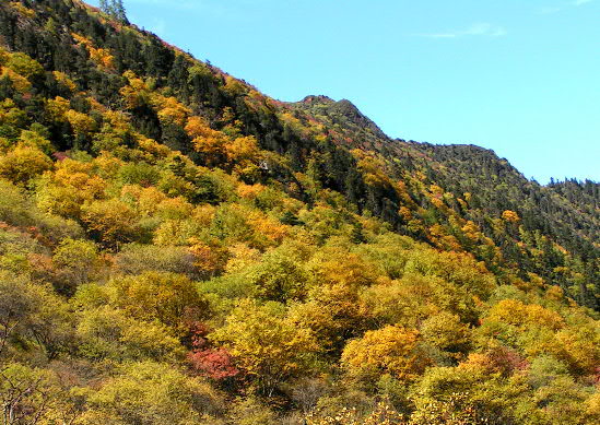 黄龙美景